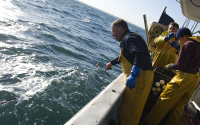 LE SERVICE COMMUNICATION DE LA DPMA EN VISITE A LA SATHOAN