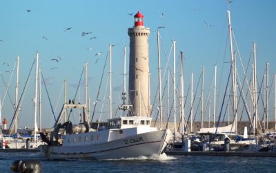 L’ORGANISATION DE PRODUCTEURS SATHOAN