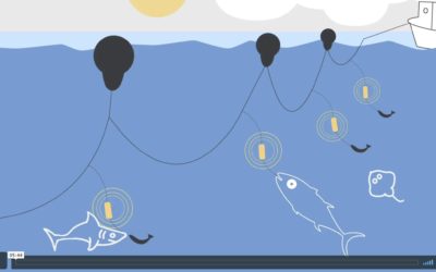 SHARKGUARD NOMINE AUX TROPHÉES INNOVATION OCEAN