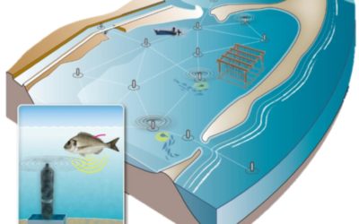 PROJET CONNECT-MED – Présentation