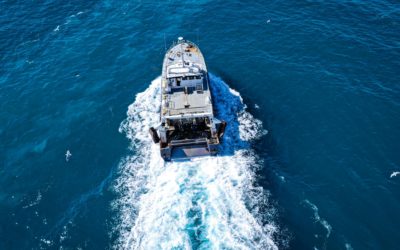 PLAN DE GESTION WEST MED : Bilan au 5 février