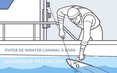 BONNES PRATIQUES – Thon Rouge « Pèche durable »