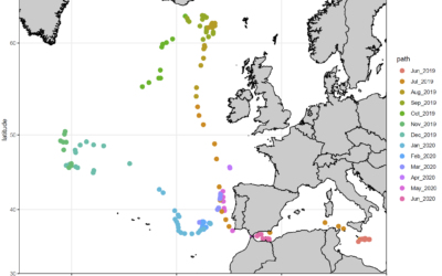 MARQUAGES THON ROUGE EN MEDITERRANEE : les premiers résultats très encourageants !