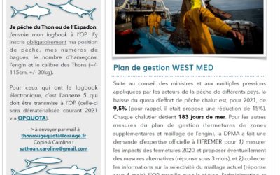 LA LETTRE D’INFORMATION JANVIER 2021