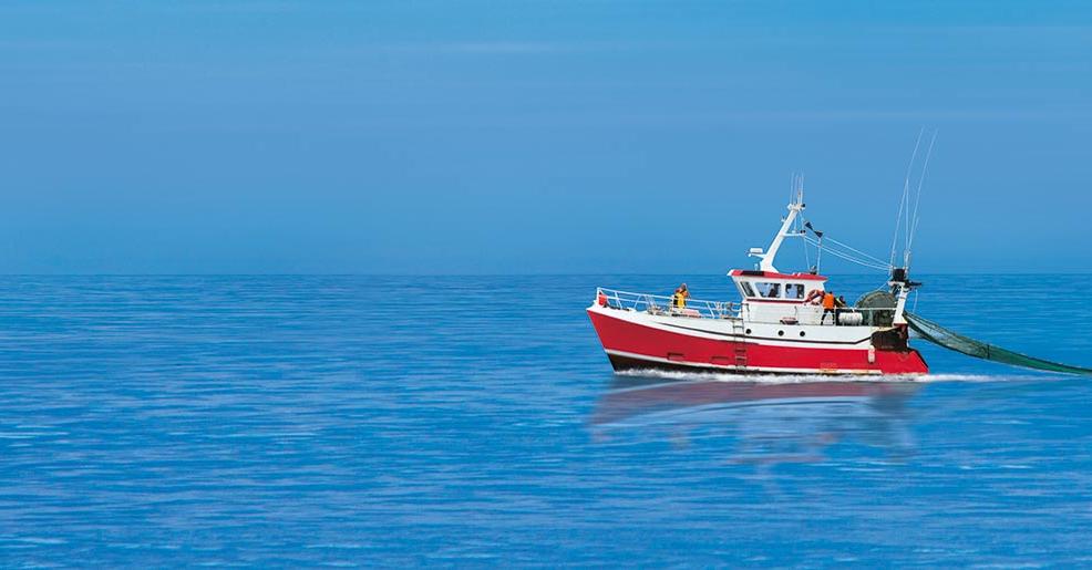 Dispositif exceptionnel de soutien aux entreprises de pêche (DESP)