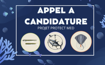 APPEL A CANDIDATURE – PROTECTMED