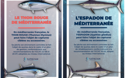 FLYER « THON ROUGE » & « ESPADON » 2024