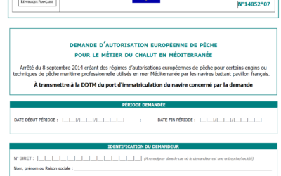 DEMANDES AEP 2025, c’est parti !