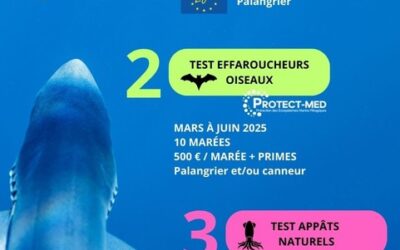 APPEL A CANDIDATURE – PROJETS SCIENTIFIQUES