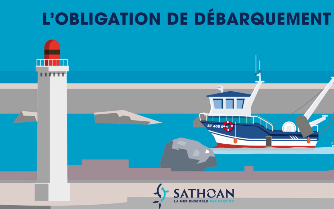 L’OBLIGATION DE DEBARQUEMENT