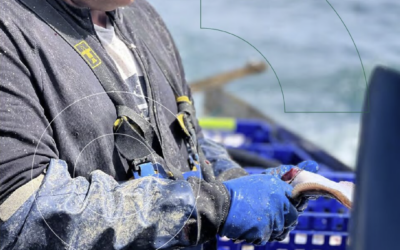 DECLARATION SOCIALES tout savoir sur vos démarches en tant que marin, employeur de marins, travailleur non-salarié
