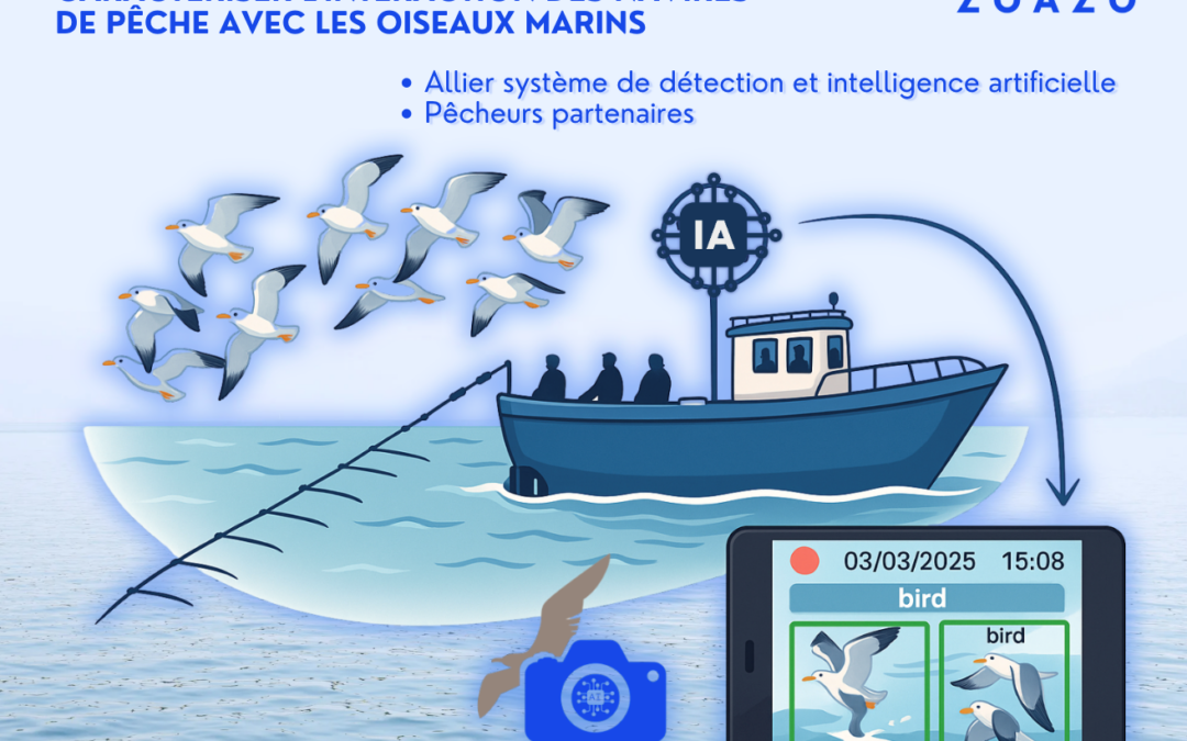 ZOAZO, UN PROJET PILOTE INEDIT !