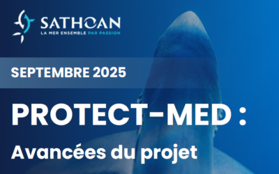 PROJET PROTECT MED