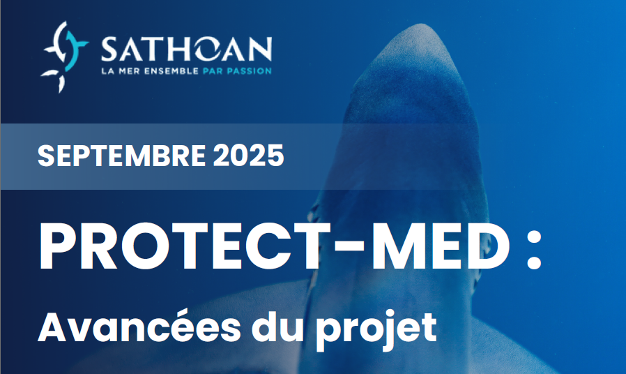 PROJET PROTECT MED