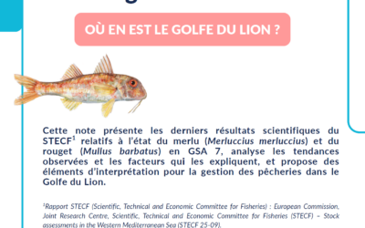 SITUATION DES STOCKS DU GOLFE DU LION