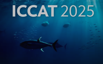🔵 ICCAT 2025 – ACCORD TROUVE A SEVILLE