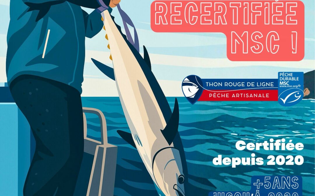PECHERIE THON ROUGE DE LIGNE = RECERTIFIEE !