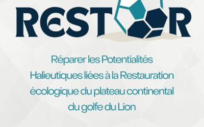 PRESENTATION DU PROJET ‘RESTOR’