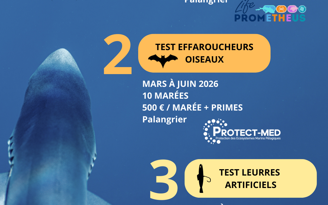 [APPELS À CANDIDATURES – PECHE THON ROUGE]