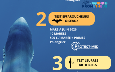 [APPELS À CANDIDATURES – PECHE THON ROUGE]