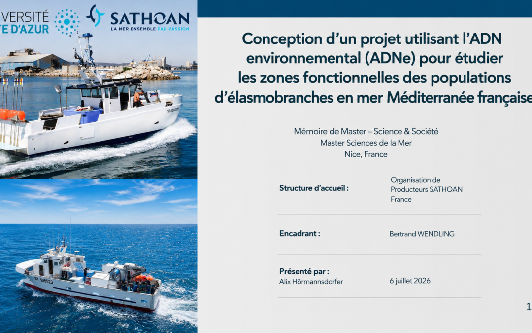 LES PÊCHEURS, SENTINELLES DU MILIEU MARIN