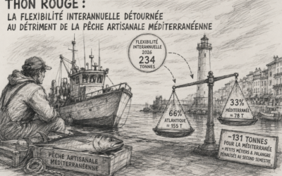 QUOTA THON ROUGE