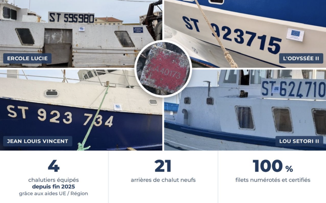 LES PÊCHEURS, SENTINELLES DU MILIEU MARIN