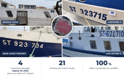LES PÊCHEURS, SENTINELLES DU MILIEU MARIN