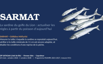PROJET « SARMAT » : SARDINE MATURITE